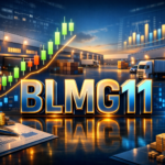 BLMG11 Anuncia Programa de Recompra de Cotas e Cancelamento: O Que Muda? 5 BLMG11 Anuncia Programa de Recompra de Cotas e Cancelamento: O Que Muda?