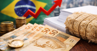 Restrições na Oferta Elevam Preços de Papel e Celulose: Vale a Pena Investir Agora?