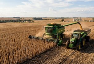 Preços do feijão despencam com colheita avançada no Brasil