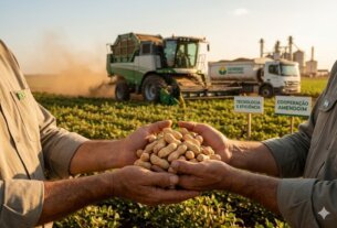 O Avanço do Amendoim Brasileiro: Por que Produtores Argentinos estão no Interior de SP