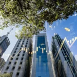 MXRF11: Líder em Número de Cotistas revela números dos Dividendos