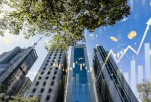 MXRF11: Líder em Número de Cotistas revela números dos Dividendos