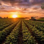 OIAG11 Anuncia Novos Dividendos: Rendimento de 1,32% e Estratégia no Agronegócio