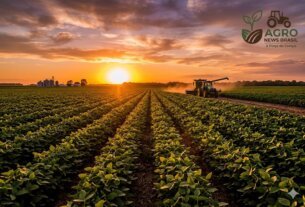 OIAG11 Anuncia Novos Dividendos: Rendimento de 1,32% e Estratégia no Agronegócio