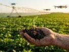 ESG no Agronegócio: Novas Regras do Acordo Mercosul-UE Entram em Vigor em Maio