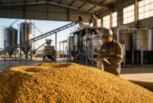Ouro de milho: Como o DDG está redefinindo a rentabilidade e o ESG na pecuária brasileira