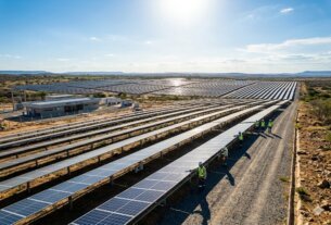 SNEL11 inicia faturamento da UFV Petrolina e mantém dividendos estáveis: O que muda para o investidor?