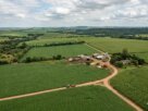 BrasilAgro vende fazenda no Paraguai com lucro