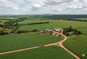 BrasilAgro vende fazenda no Paraguai com lucro